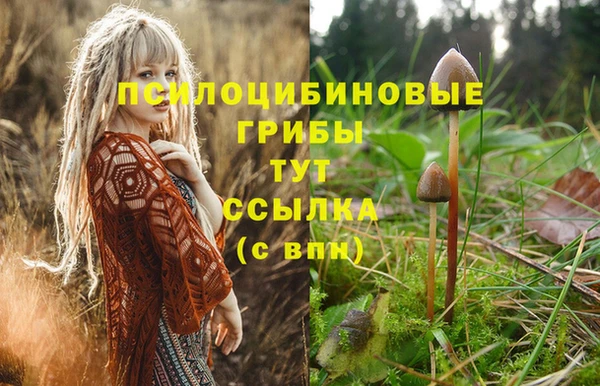 прущая мука Абаза