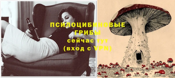 бошки Абдулино