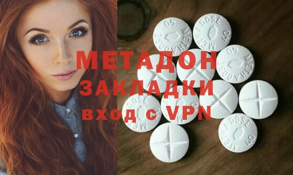 гашик Тайга
