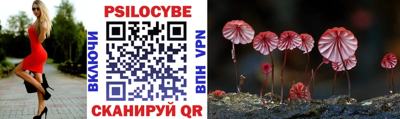 блэк спрут рабочий сайт  Новочебоксарск  Псилоцибиновые грибы GOLDEN TEACHER 